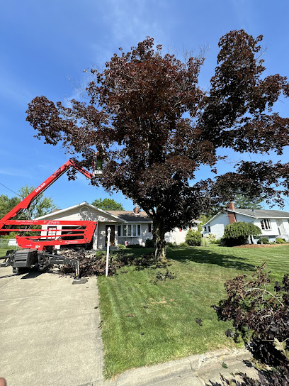 For The Trees